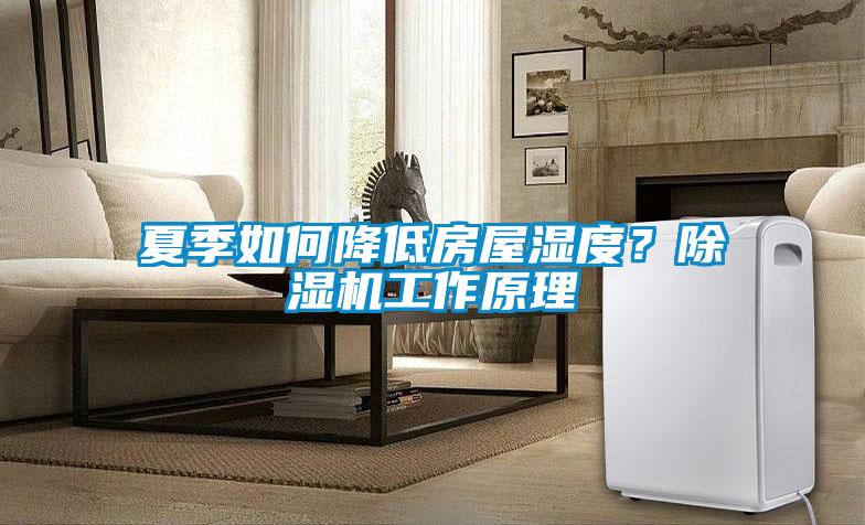 夏季如何降低房屋濕度？除濕機(jī)工作原理